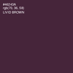 #46243A - Livid Brown Color Image